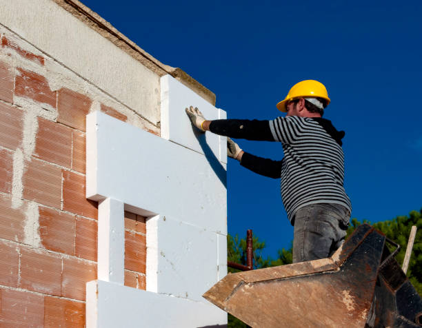Best Cellulose Insulation in Shamrock, TX